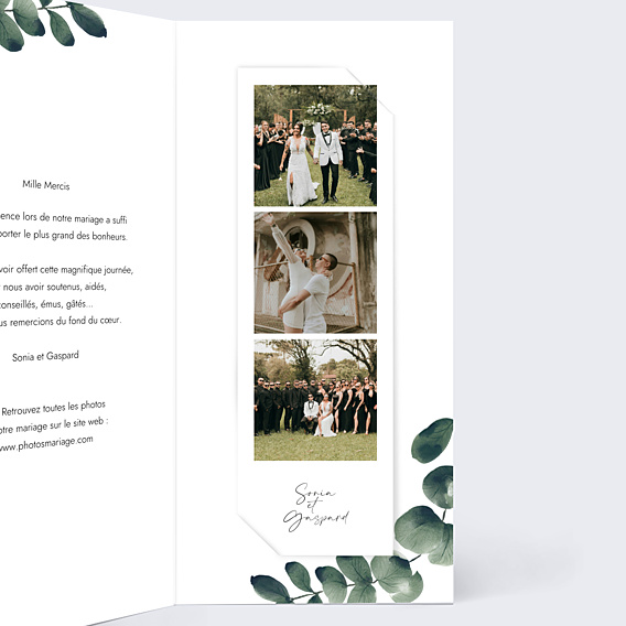 Remerciements mariage Branche d’Eucalyptus
