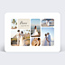 Remerciements mariage Douceur Estivale