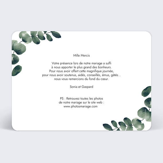 Remerciements mariage Branche d’Eucalyptus