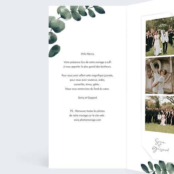 Remerciements mariage Branche d’Eucalyptus