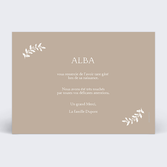 Carte remerciement naissance Joli cadre Verso