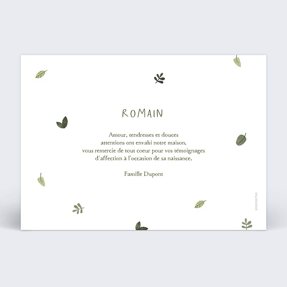 Carte remerciement naissance Petit Lion Photo Verso