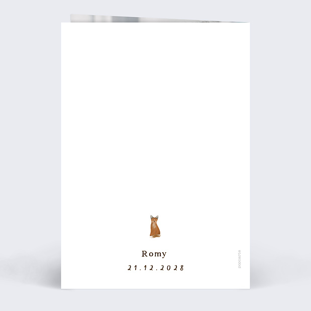 Remerciements Naissance Frise Renard Verso
