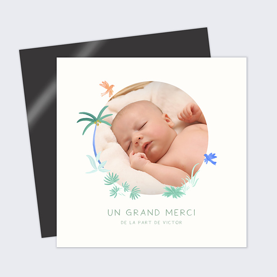 Carte remerciement naissance Petits oiseaux
