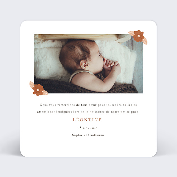 Remerciements Naissance Couronne Renardeau