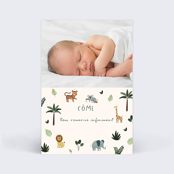 Remerciements Naissance Petite Jungle