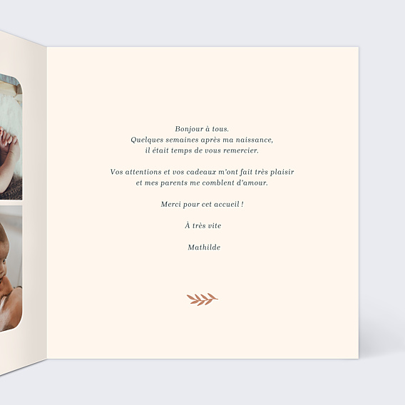 Remerciements Naissance Mésange Couronne