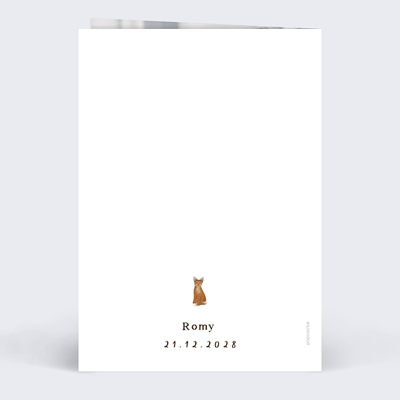 Carte remerciement naissance Frise Renard Verso