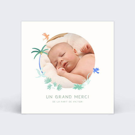 Remerciements Naissance Petits oiseaux