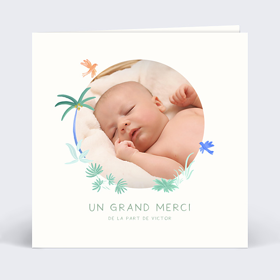 Remerciements Naissance Petits oiseaux