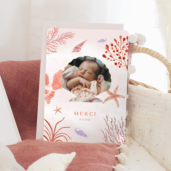 Remerciements Naissance Pleine Mer