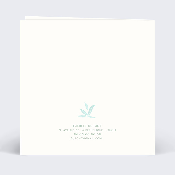 Remerciements Naissance Petits oiseaux