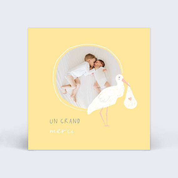 Remerciements Naissance Cigogne Blanche