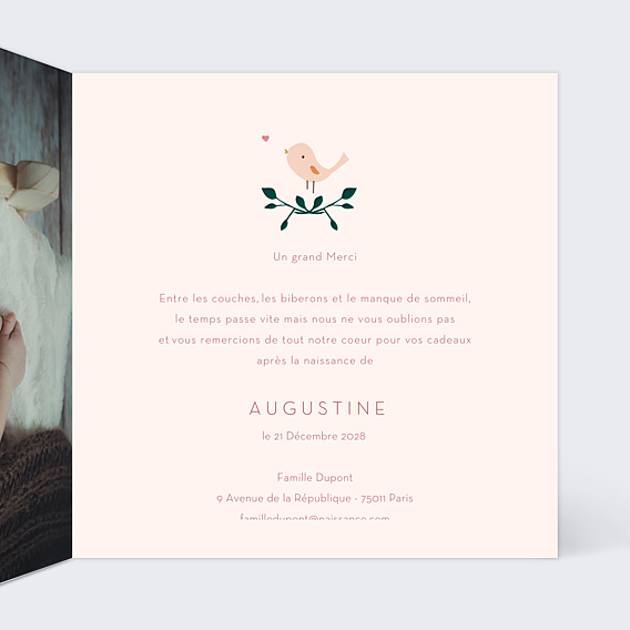Remerciements Naissance Augustine