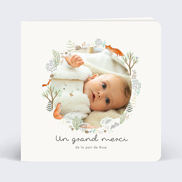 Remerciements Naissance Couronne Renard
