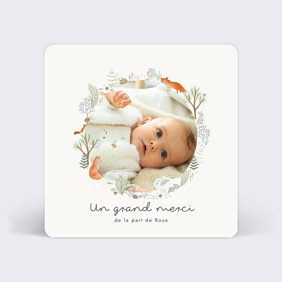 Remerciements Naissance Couronne Renard