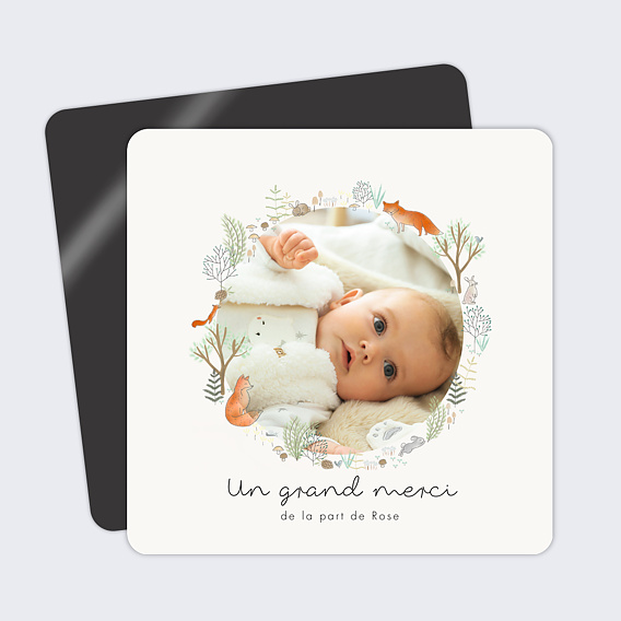 Carte remerciement naissance Couronne Renard