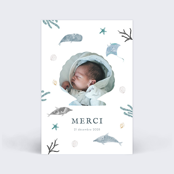 Remerciements Naissance Monde Marin