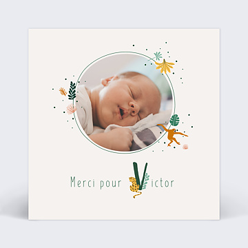 Remerciements Naissance Lettrine Jungle