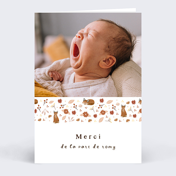 Remerciements Naissance Frise Renard
