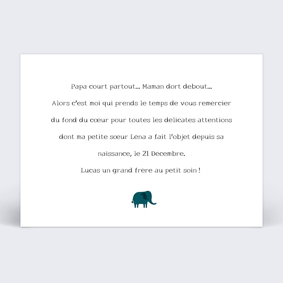 Carte remerciement naissance Pyramide de la jungle Verso