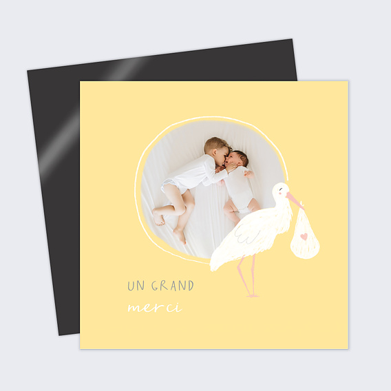 Carte remerciement naissance Cigogne Blanche