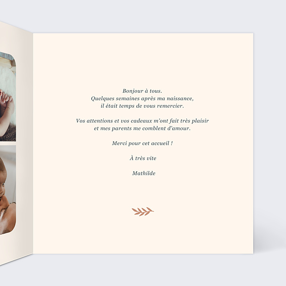 Carte remerciement naissance Mésange Couronne Intérieur Droit