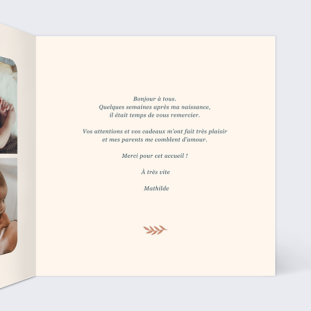 Remerciements Naissance Mésange Couronne Intérieur Droit