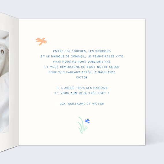 Remerciements Naissance Petits oiseaux