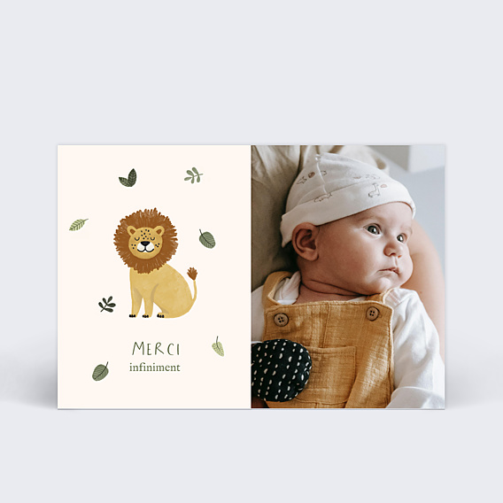 Remerciements Naissance Petit Lion Photo