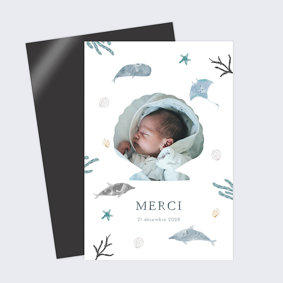 Carte remerciement naissance Monde Marin
