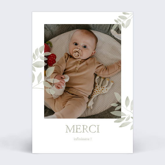 Carte remerciement naissance Jolis brins