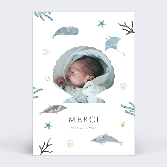 Carte remerciement naissance Monde Marin