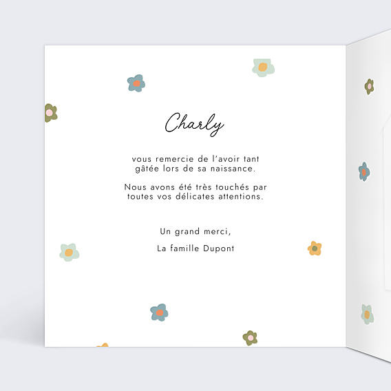 Remerciements Naissance Graine de Bébé