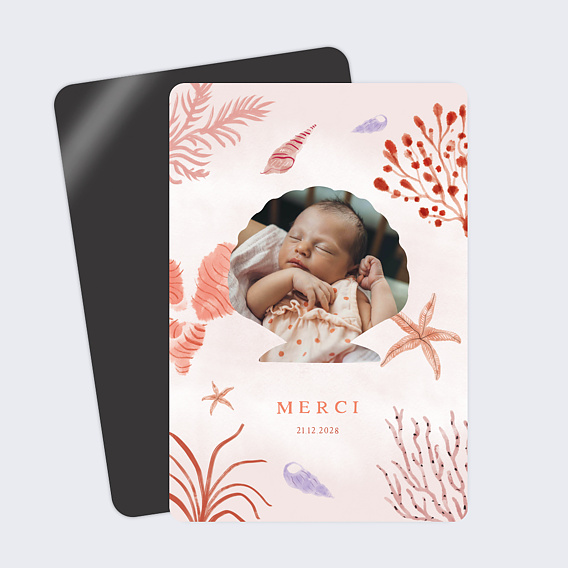 Carte remerciement naissance Pleine Mer