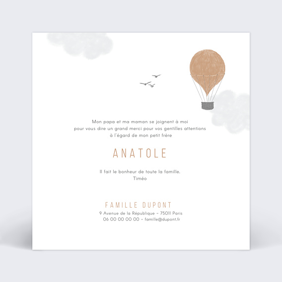 Carte remerciement naissance Petit Aviateur Verso