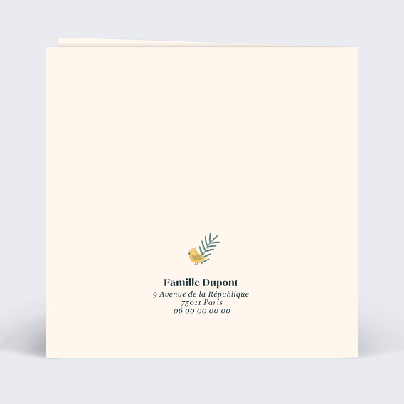 Carte remerciement naissance Mésange Couronne Verso