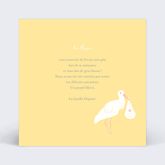 Remerciements Naissance Cigogne Blanche