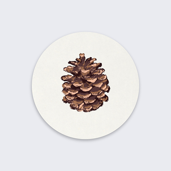 Stickers de Noël  Pomme de Pin Recto