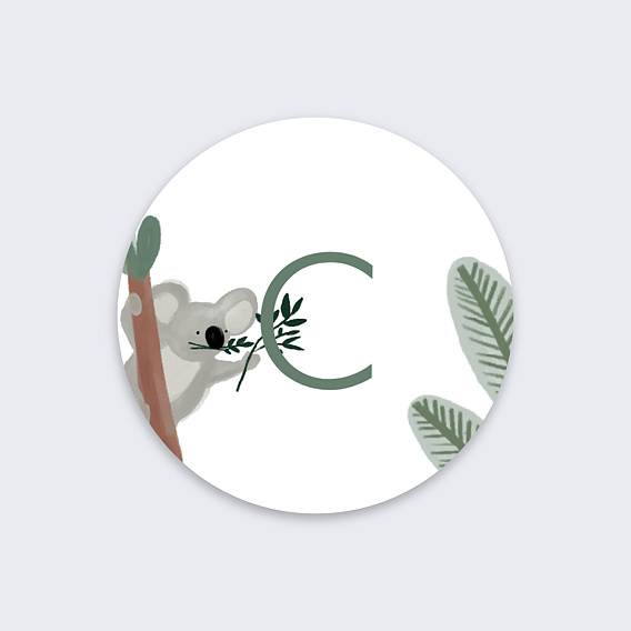 Sticker naissance Koala Mignon