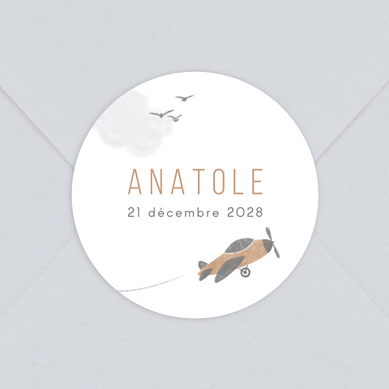 Sticker Naissance Petit Aviateur