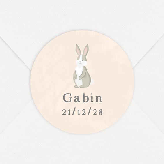 Sticker naissance Petit Lapin