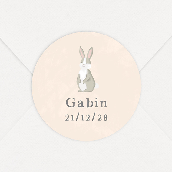 Sticker Naissance Petit Lapin