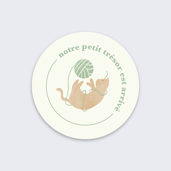 Sticker naissance Chat Recto