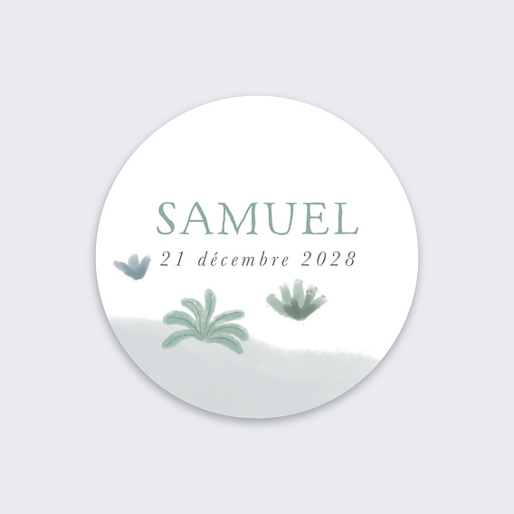 Sticker naissance Grand Dino Recto