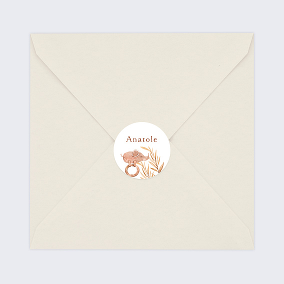 Sticker naissance Hochet Éléphant Après 4