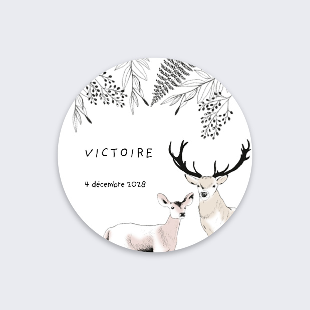 Sticker Naissance Animaux de la Forêt Recto