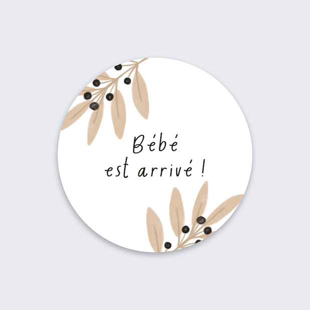Sticker Naissance Bébé est Arrivé Recto