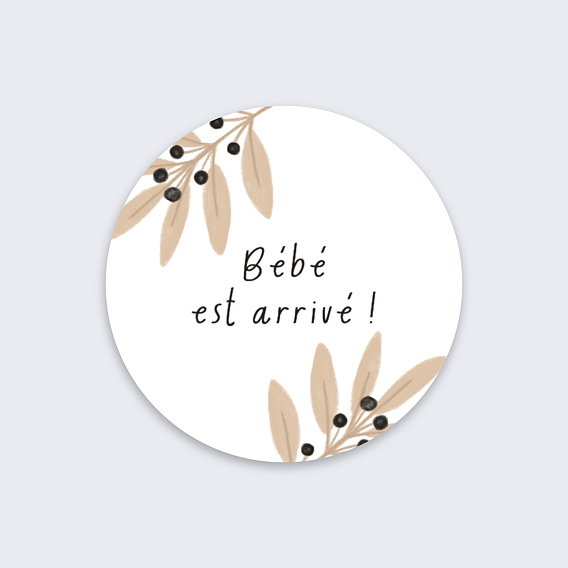 Sticker naissance Bébé est Arrivé Recto