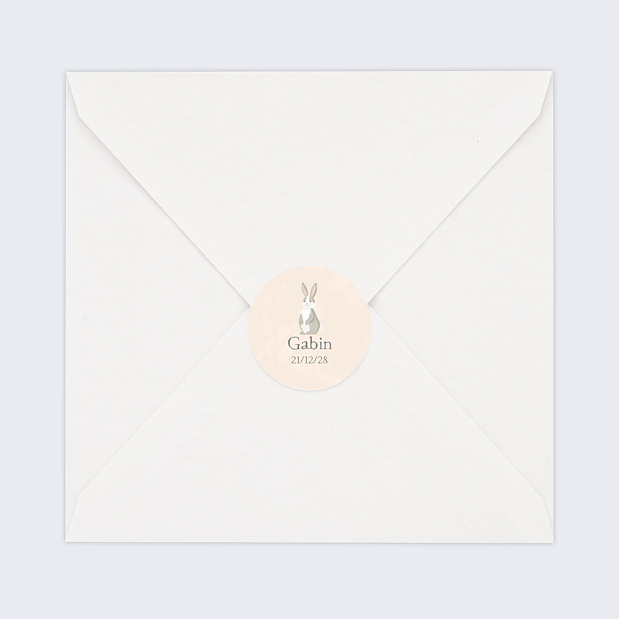 Sticker Naissance Petit Lapin